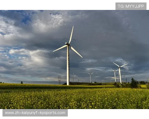 足球装备环保白皮书2.0：碳中和目标下的装备改革